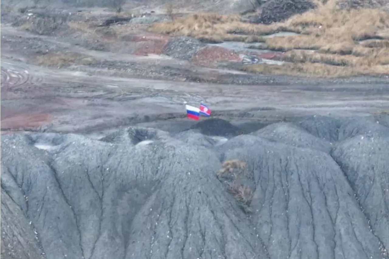 North Korean and Russian flags allegedly raised in eastern Ukraine