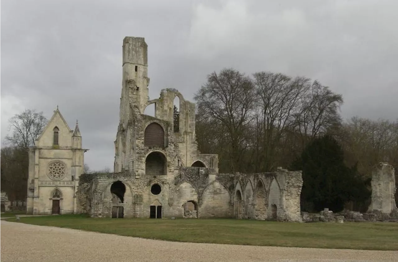 Algues, bactéries et champignons à l’assaut des vieilles pierres : comment limiter les dégâts sur le patrimoine ?