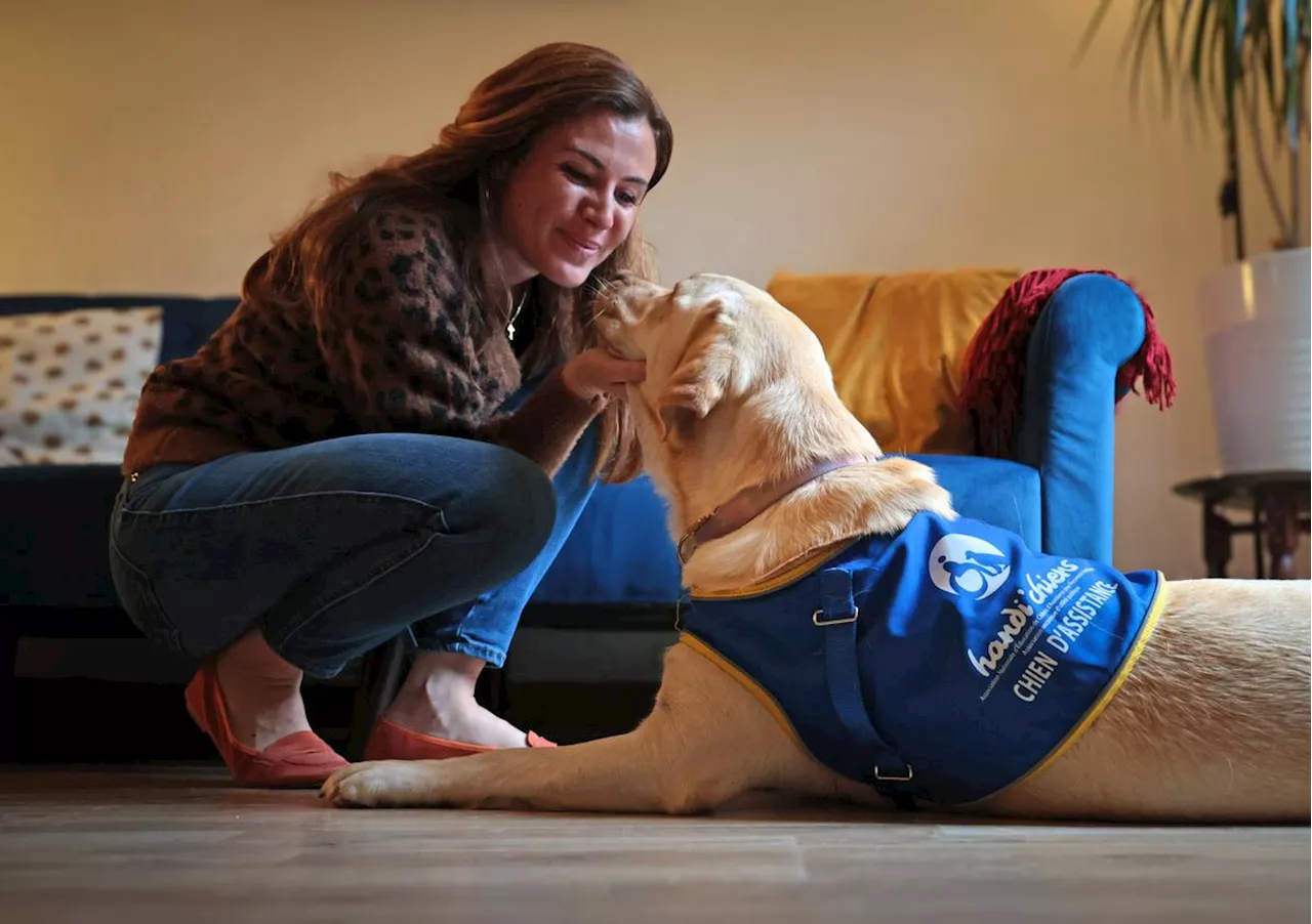 « Une bouffée d’oxygène » : une Landaise souffre d’épilepsie, un chien d’assistance l’accompagne dans son quotidien