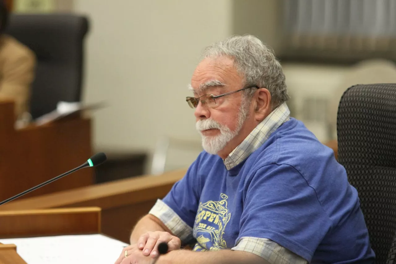 Council commits more than $260 thousand to save carousel enclosure