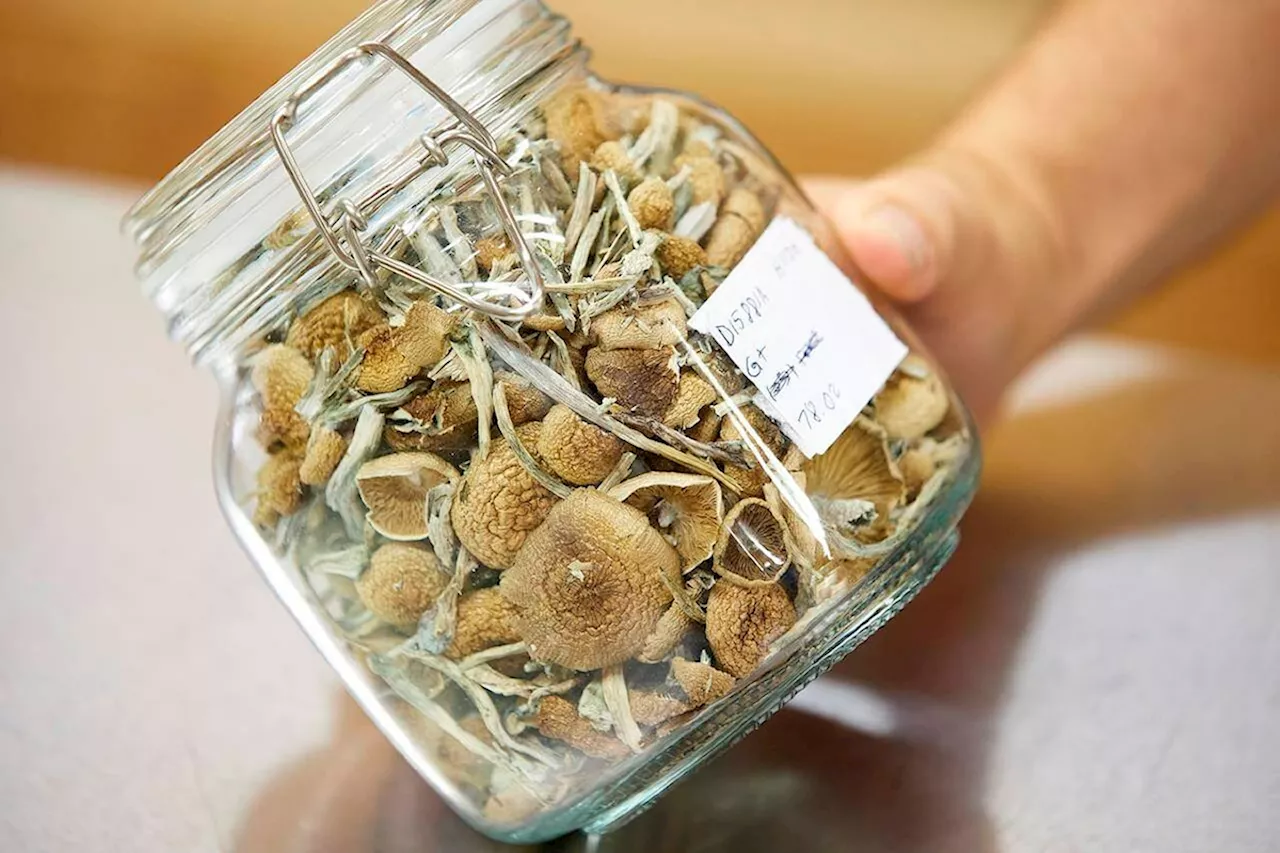 Canadians should be free to use magic mushrooms religiously: lawsuit