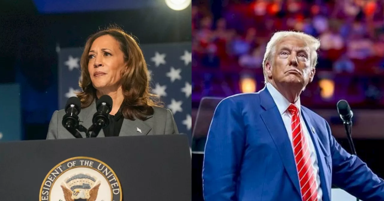 Kamala tem 46% das intenções de votos, e Trump, 43%, aponta pesquisa Reuters/Ipsos