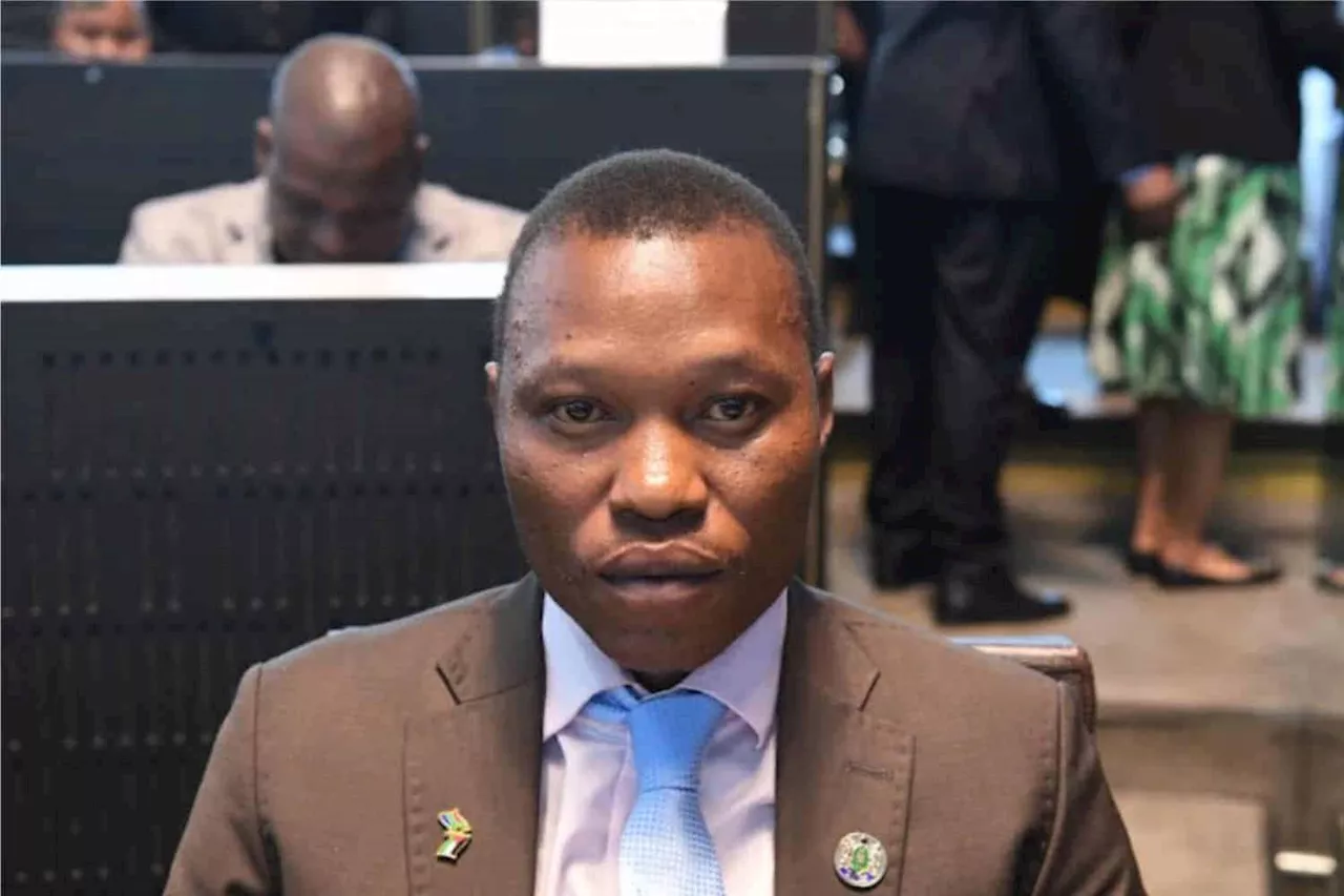 JUST IN: Kabelo Gwamanda placed on special leave