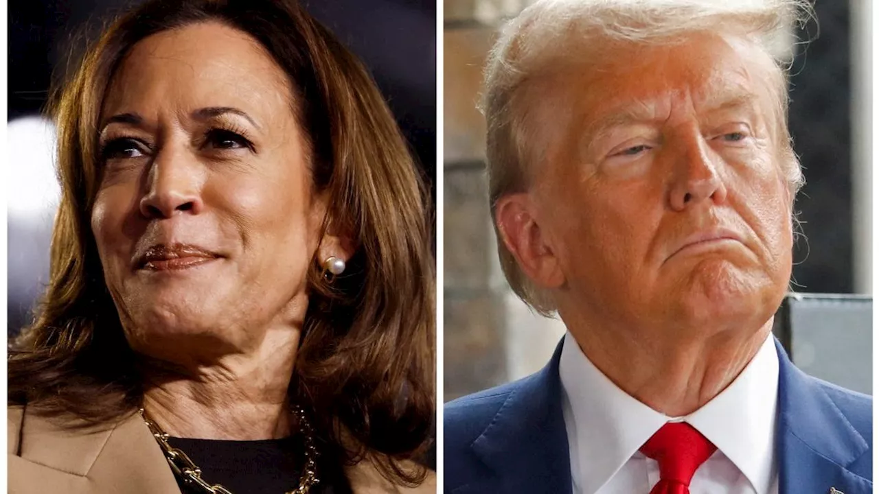 Harris holds narrow lead over Trump despite US voter gloom, poll finds