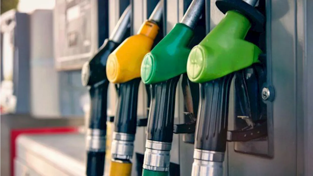 Here are the projected fuel prices for November 2024