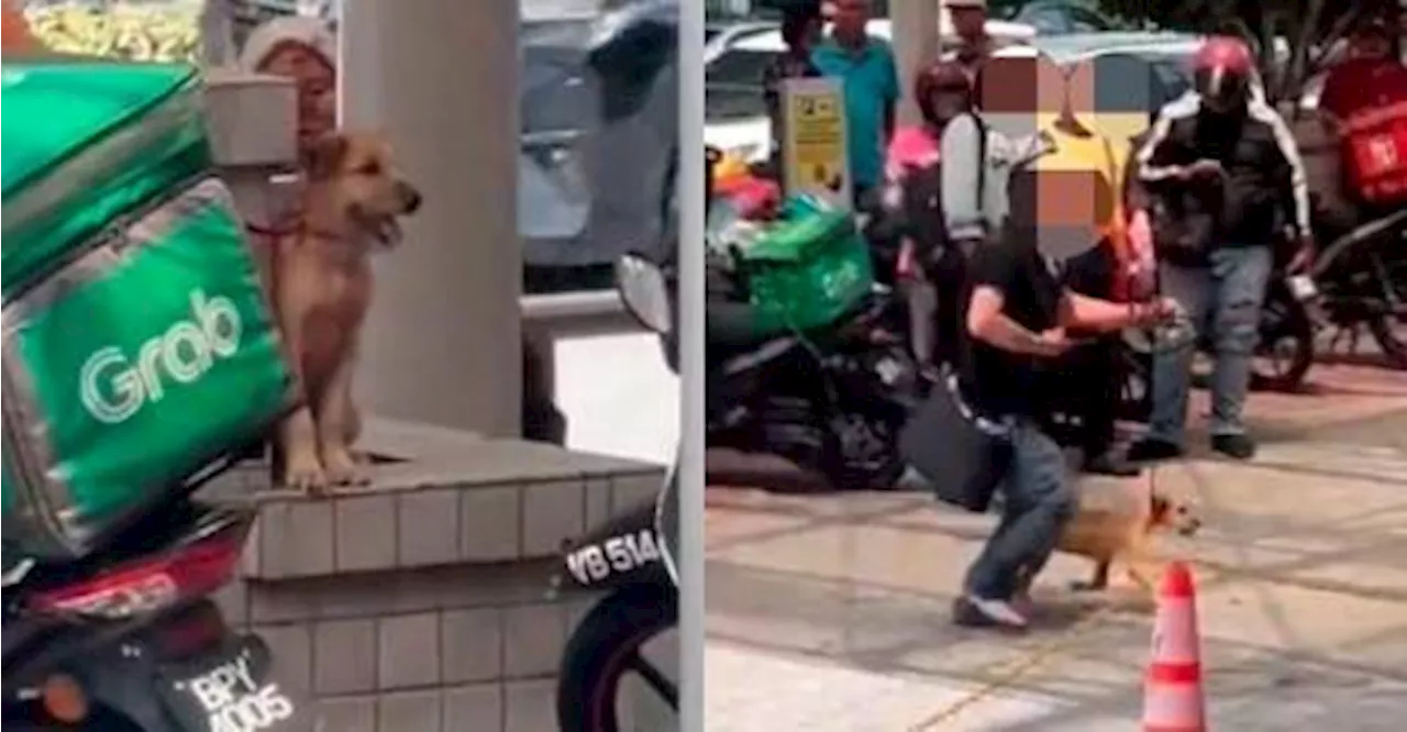 Man tries to bring pet dog into Shah Alam PKNS