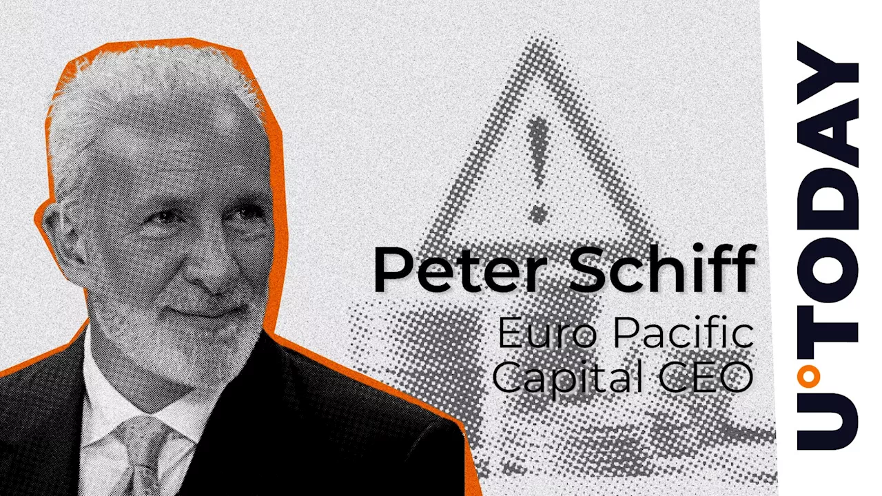 Peter Schiff Issues Warning on MicroStrategy Stock: Details