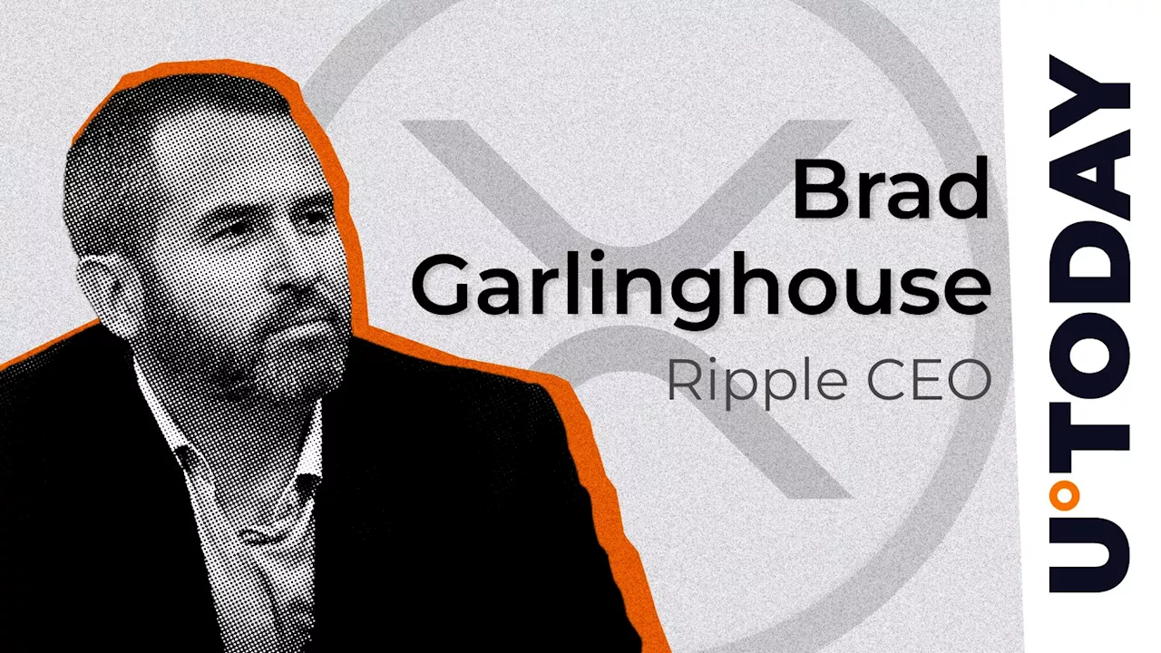 Ripple CEO on Elon Musk's XRP Mention: “XRP Not Niche Issue”