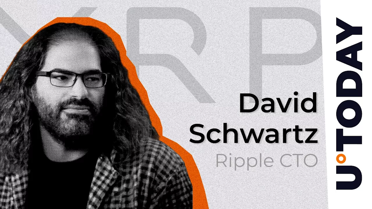 XRP Price Prediction: Ripple CTO Breaks Silence on Speculation