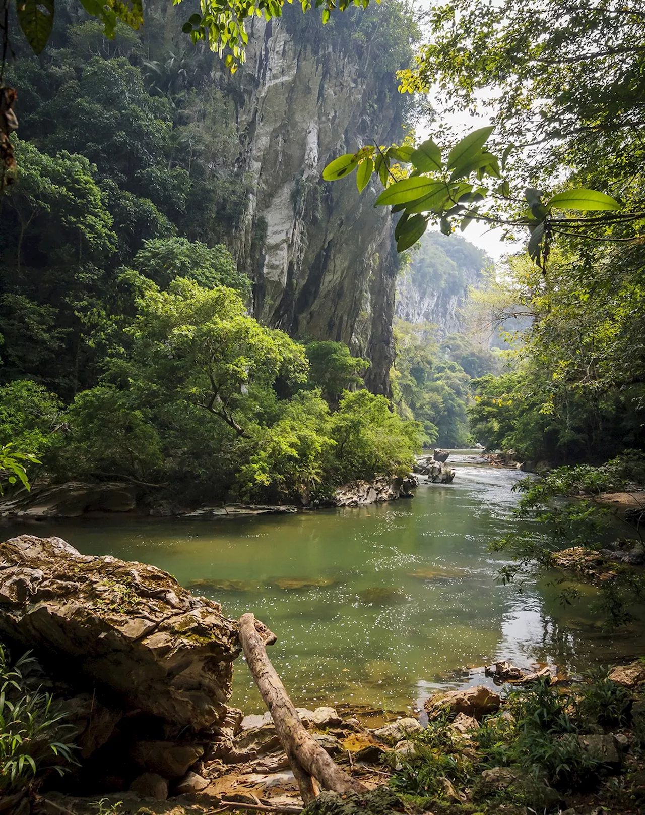 Cúpula da biodiversidade busca superar impasse de quase 10 anos