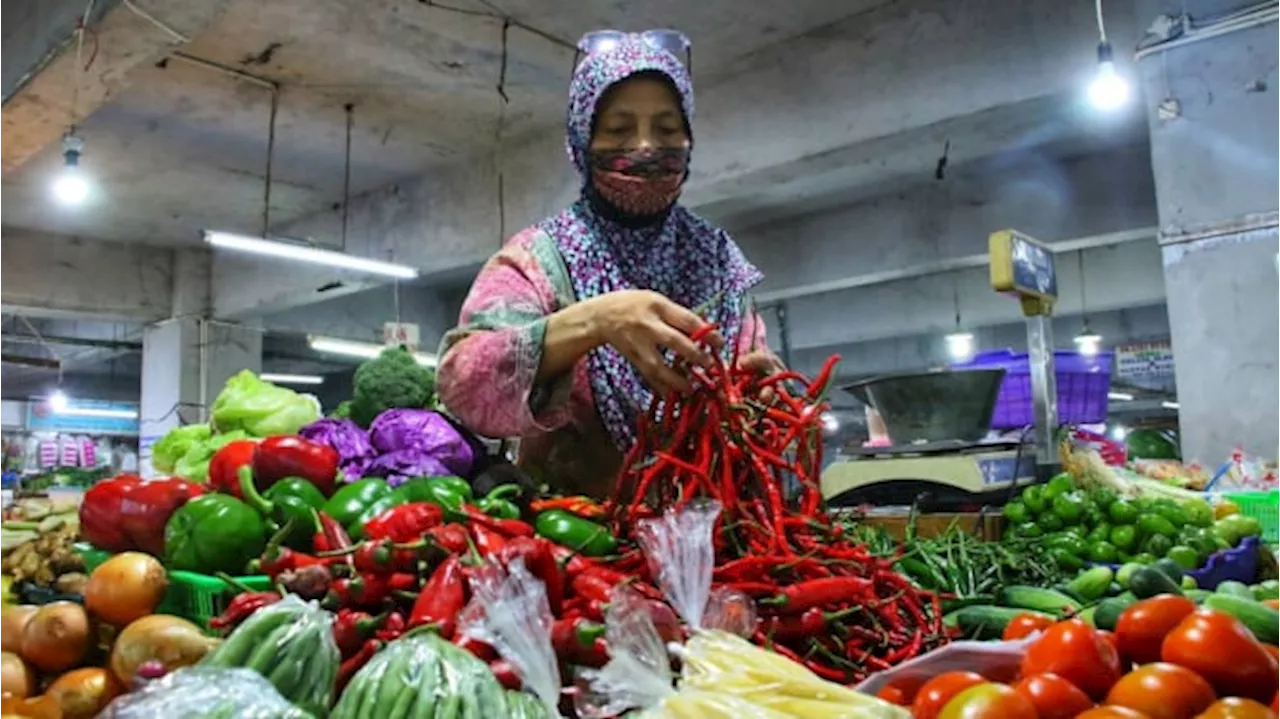 Inflasi di Kota Padang Alami Tren Penurunan