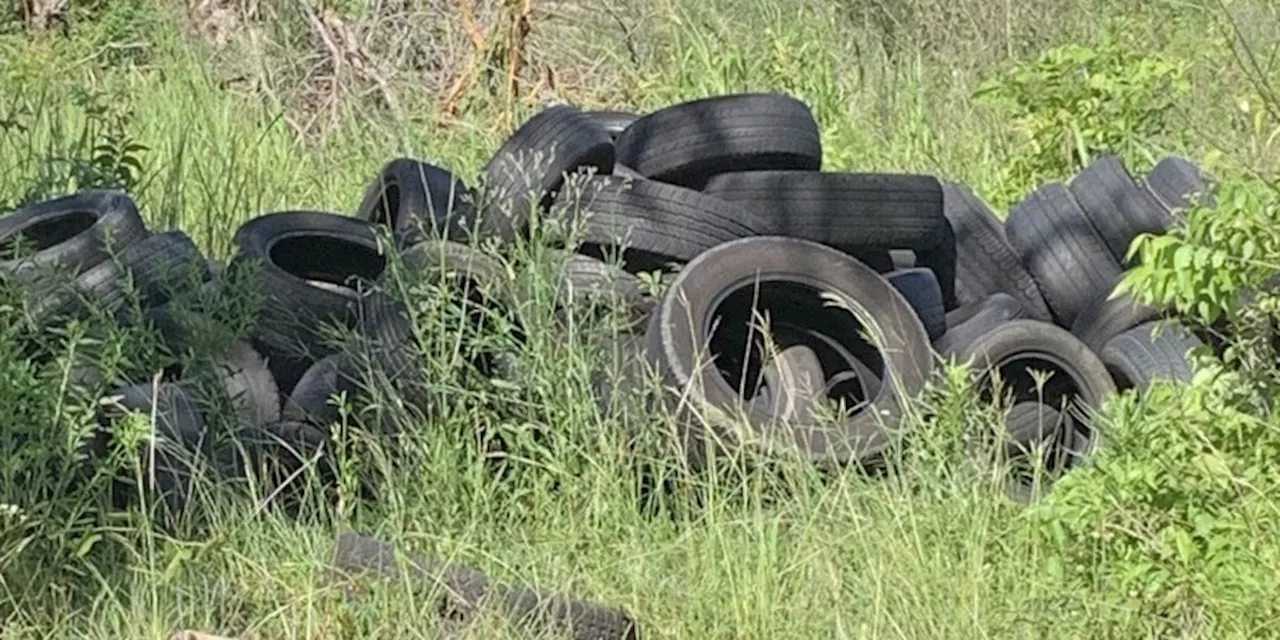 ‘Health hazards, eyesores, mosquito breeding grounds’: State wants counties to clean up scrap tires