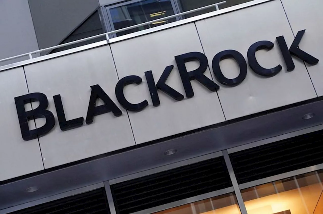 BlackRock taps into AI frenzy with two new ETFs