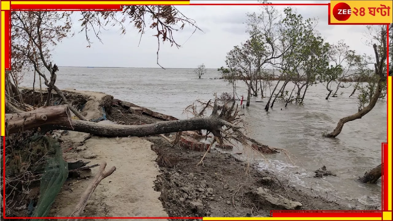 Cyclone Dana: ঘটবে জলোচ্ছ্বাস, ভাঙবে বাঁধ, বন্ধ থাকবে ফেরি সার্ভিস! মহা শক্তিশালী ডানার ঝাপটে যেন কারফিউ...