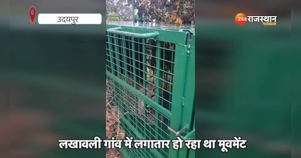 Udaipur Panther Attack: पकड़ा गया एक और खूंखार तेंदुआ, गांववालों ने ली राहत की सांस