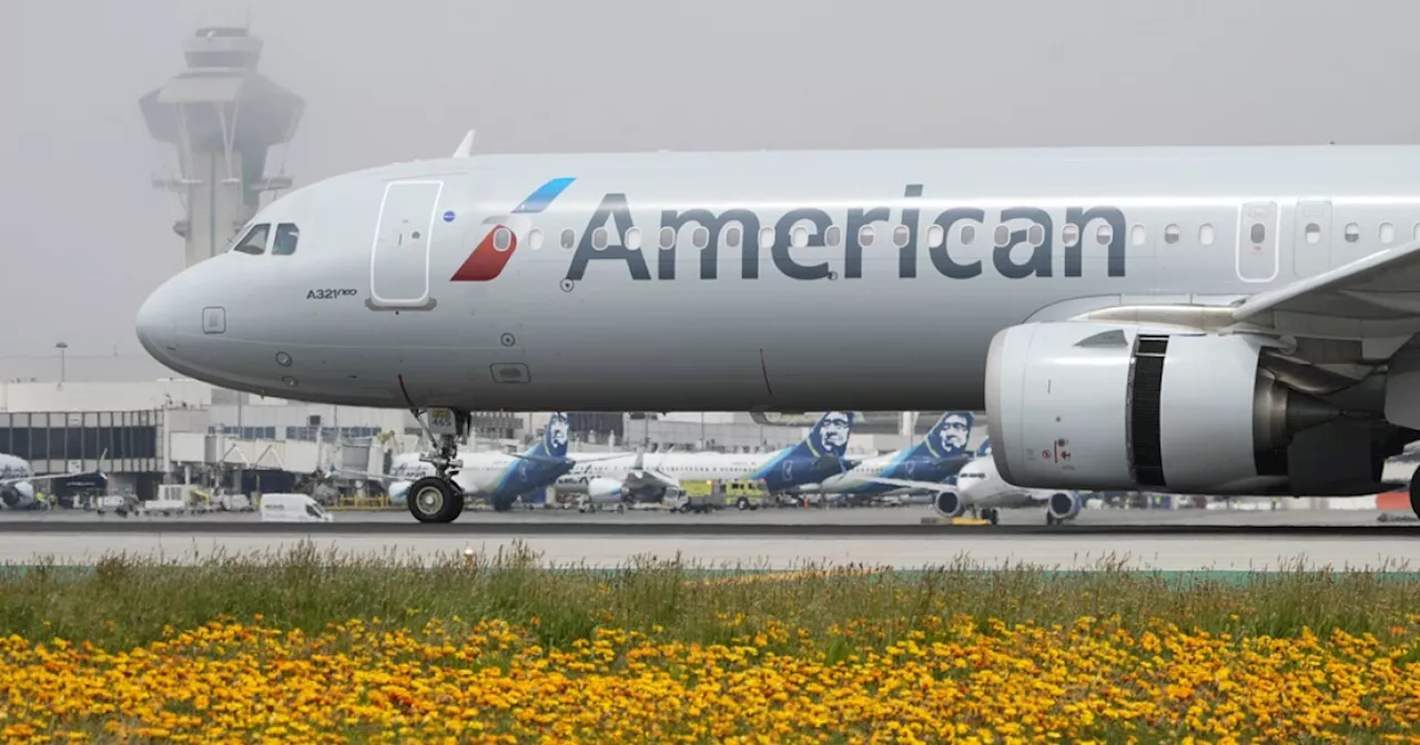 US fines American Airlines $50 million over mishandling of disabled passengers and wheelchairs