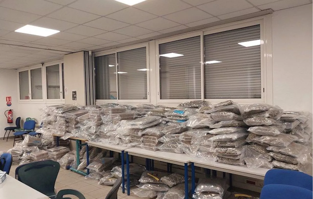 Charente-Maritime : Les douaniers saisissent plus de 1,2 tonne de cannabis, dissimulée dans des sommiers