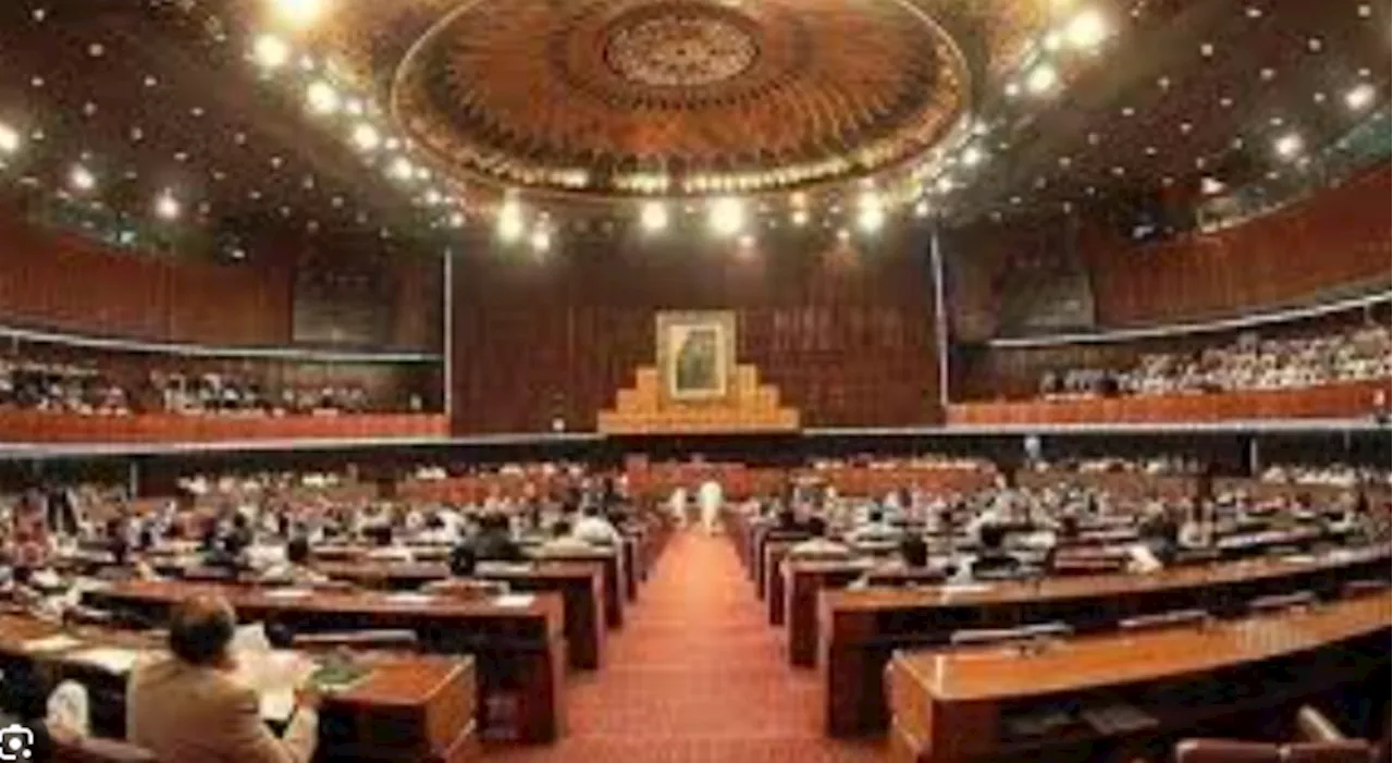 NA summons FPSC DG over delay in announcement of CSS exam results