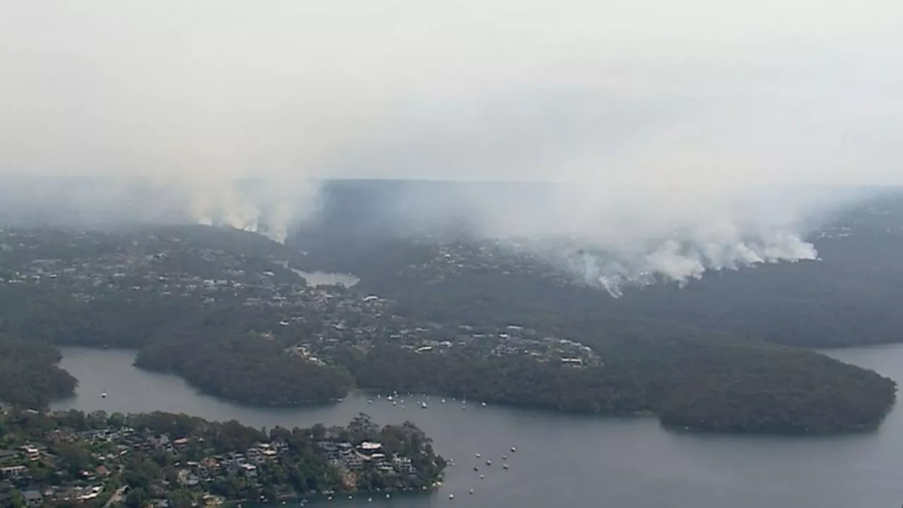 Sydney under blanket of smoke as hazard reduction burns carried out