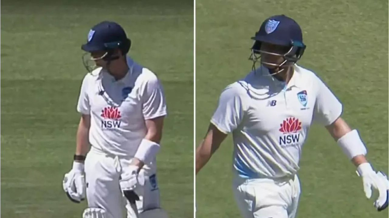 Australian cricket legends Steve Smith and David Warner savaged from all angles