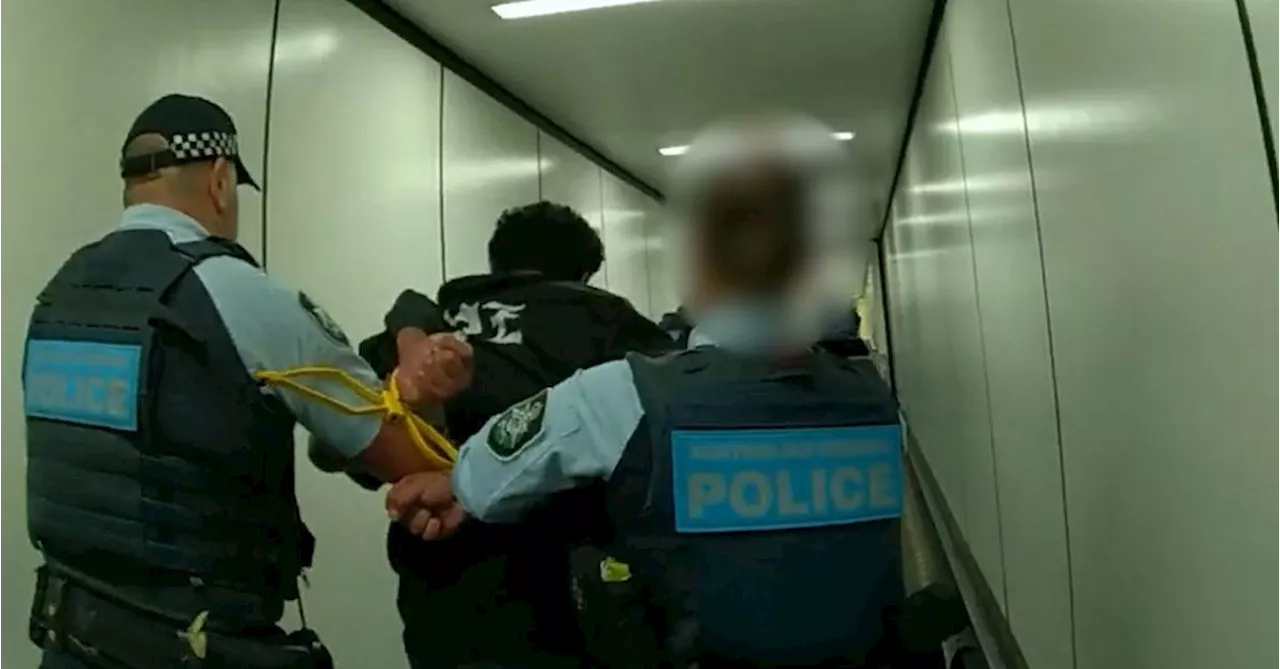 Flight from Australia diverted, passenger arrested over allegedly assaulting crew member