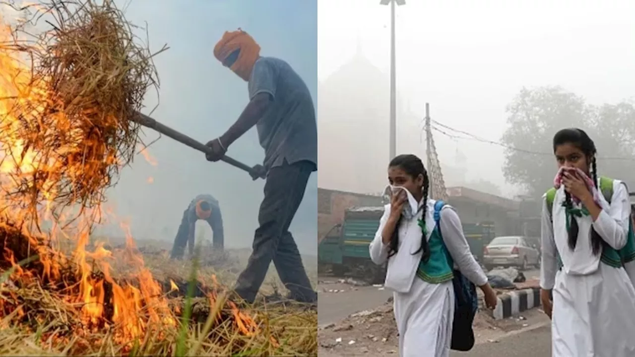 Delhi Pollution: प्रदूषण से नहीं राहत, पराली जलाने से बिगड़ी दिल्ली की हवा, मौसम भी खराब!