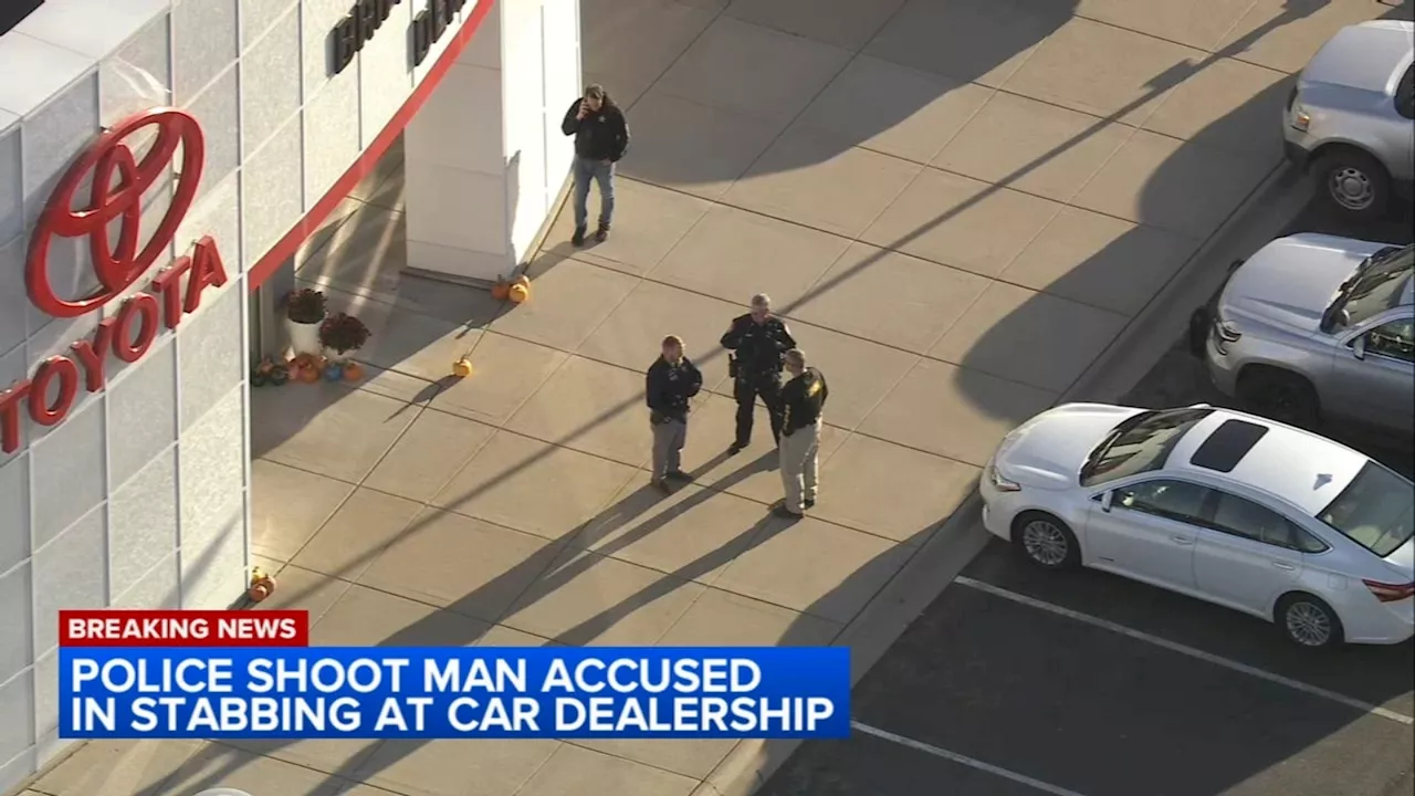 DeKalb police shoot man accused in stabbing at car dealership, officials say