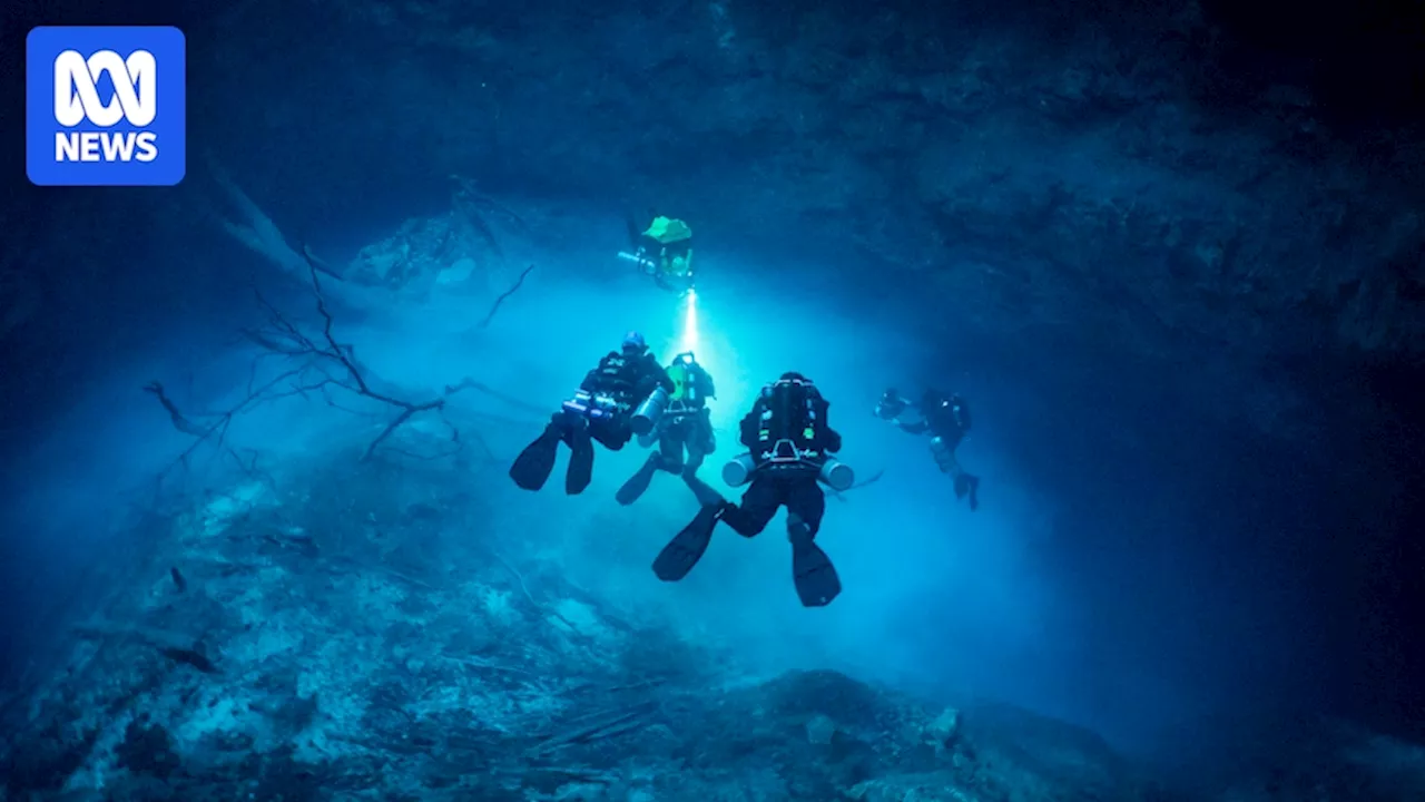 Cave diver Jill Heinerth has explored some of the most isolated parts of the world, even when she's feeling fearful