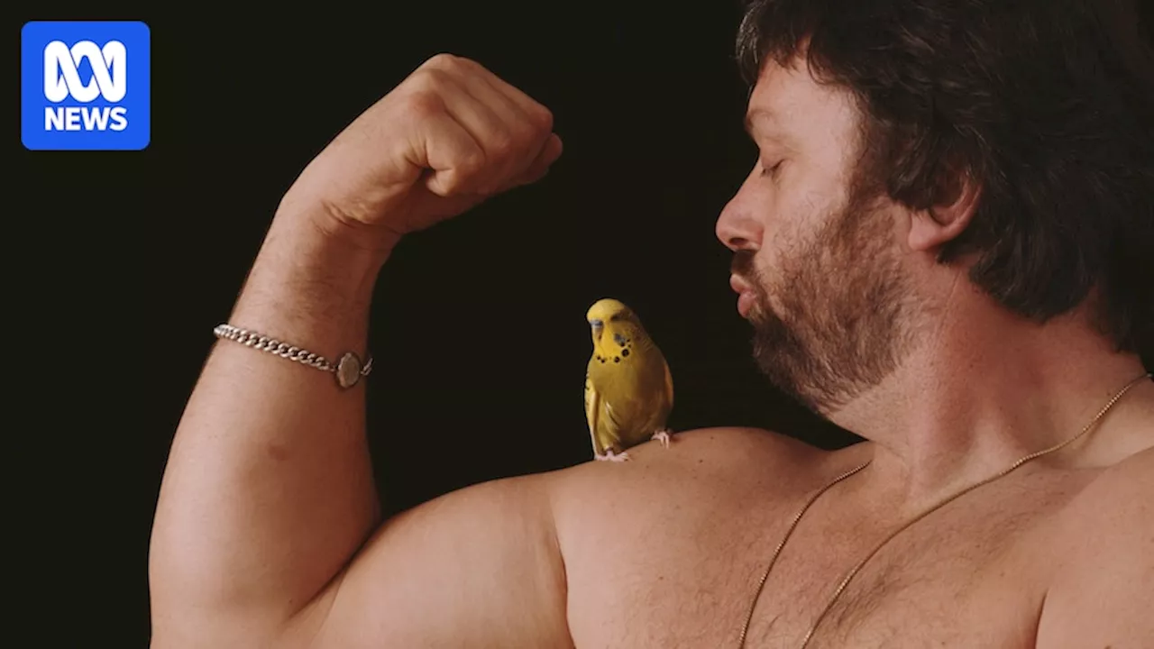 Geoff Capes, two-time World's Strongest Man, Olympian and budgerigar breeder, dies