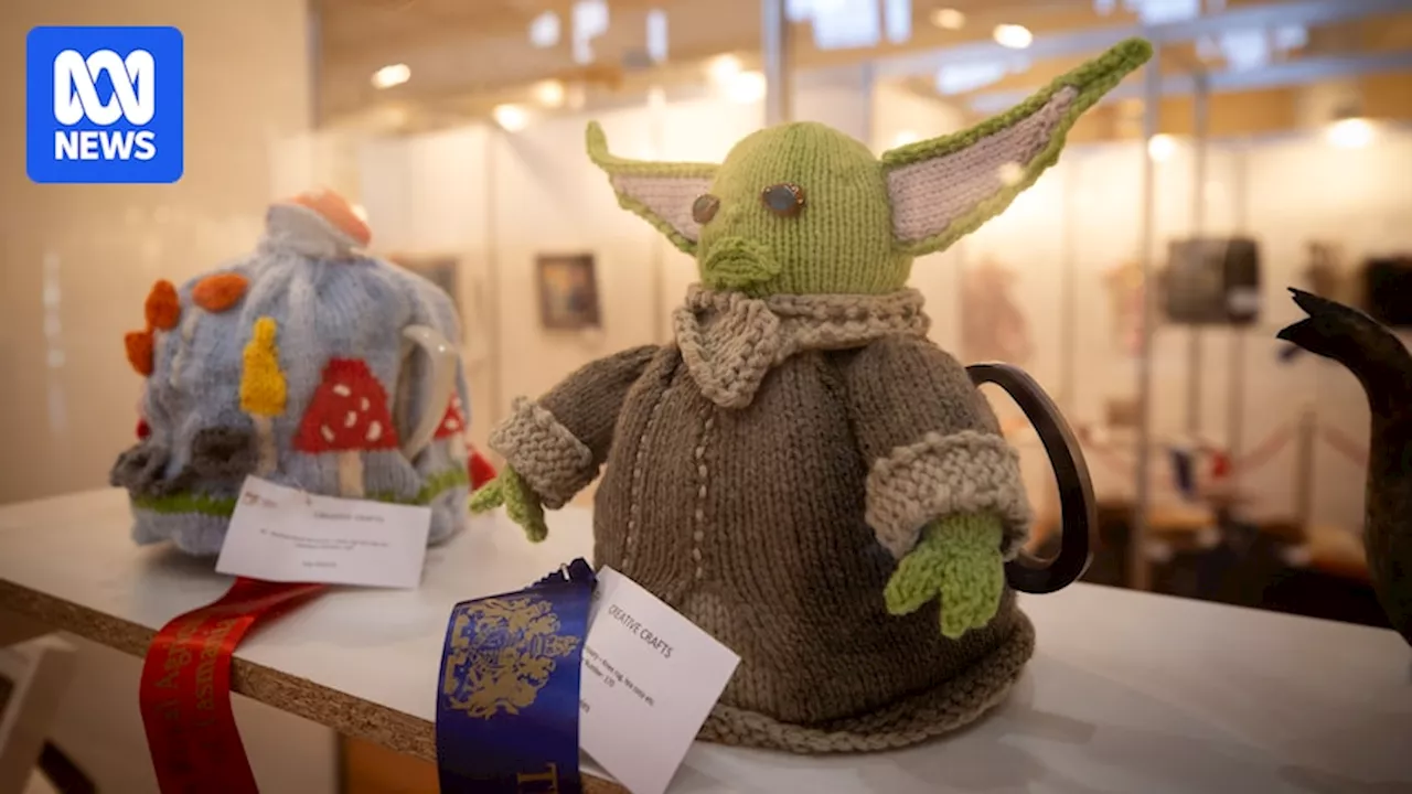 Royal Hobart Show craft entries jump by a third as old-fashioned favourites like crochet and knitting surge in popularity