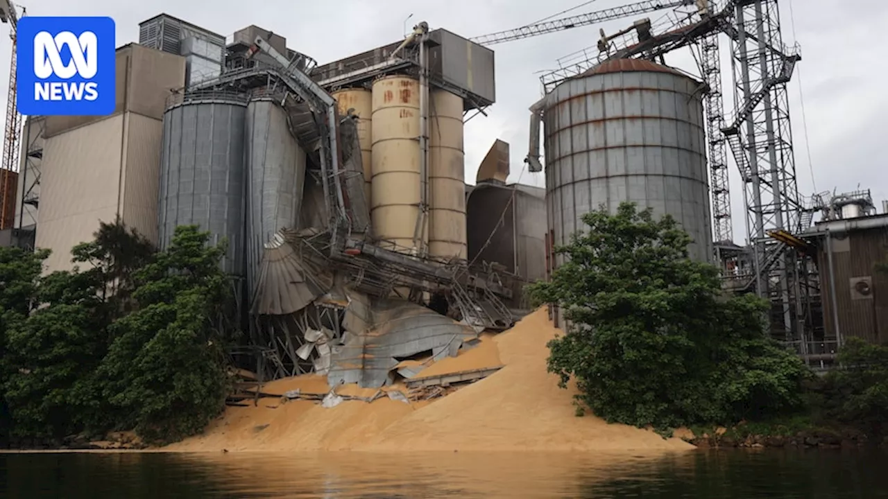 Spilled grain clean-up to take weeks as EPA, SafeWork NSW investigate silo failure