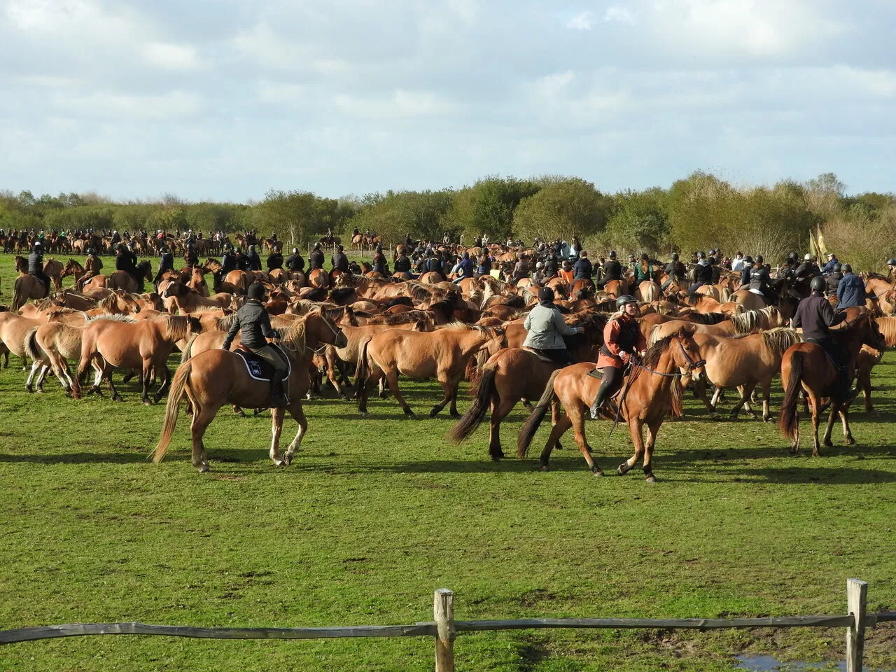 250 chevaux réunis dans le Marquenterre pour la 34e Trans'Henson ce dimanche