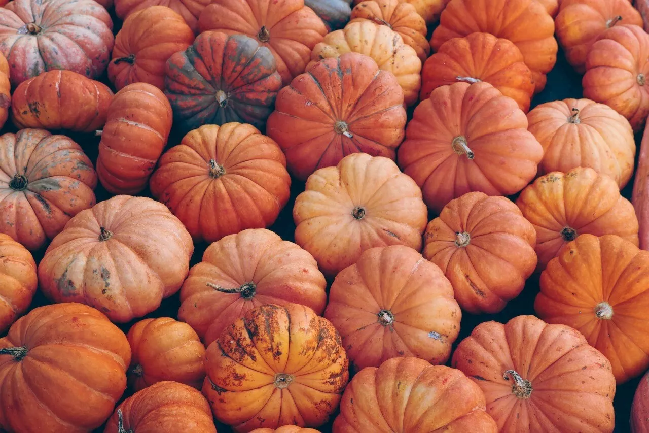 La semaine prochaine, cette commune de Seine-et-Marne se met aux couleurs d'Halloween