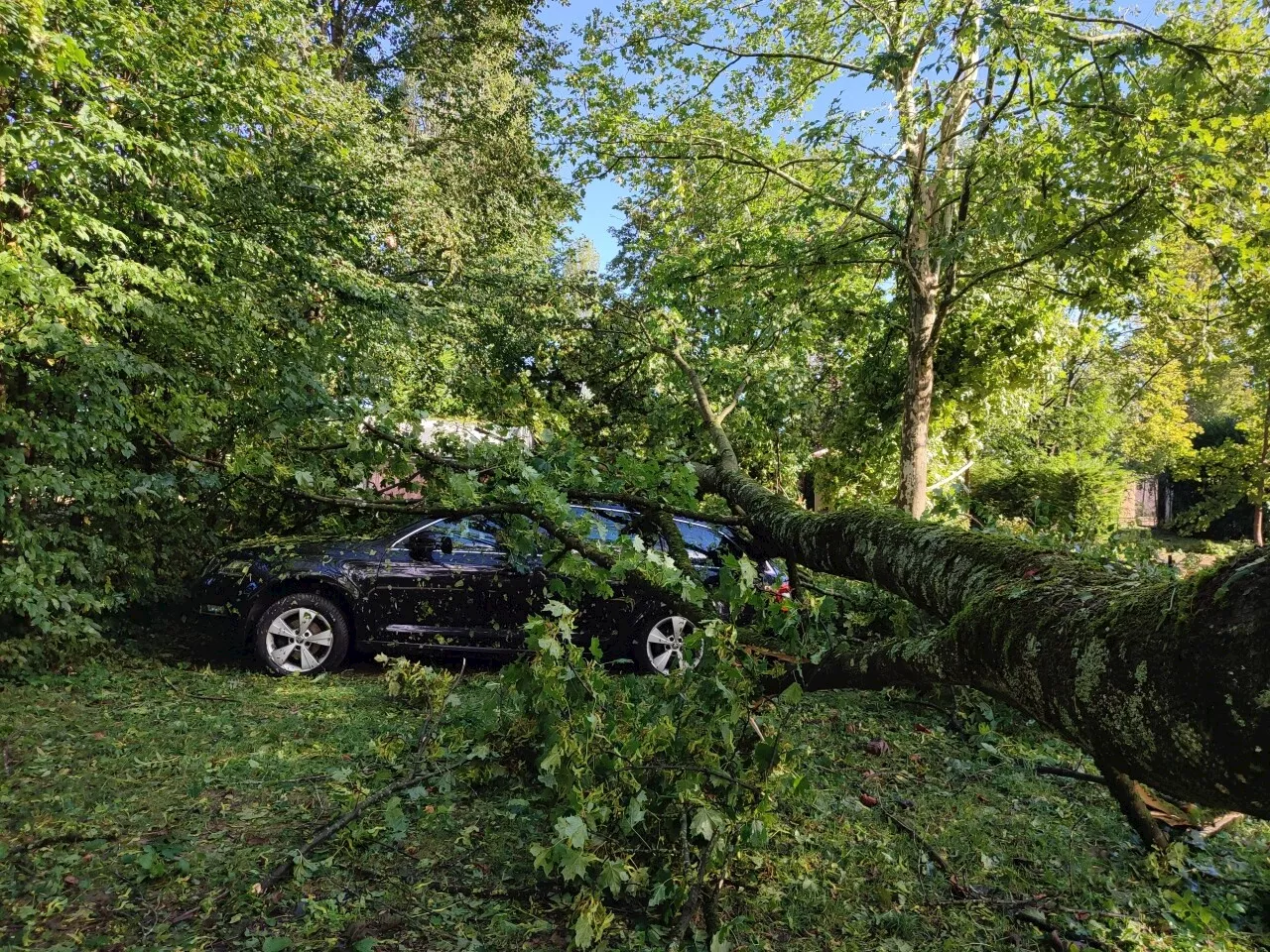 Puy-de-Dôme : ces onze communes reconnues en état de catastrophe naturelle