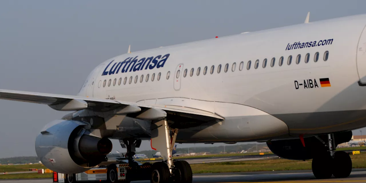 Vogelschlag legt Geschwindigkeitsanzeige von Lufthansa-Airbus-A319 lahm