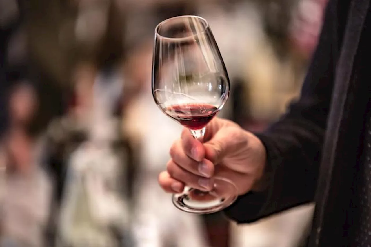 Al Merano Winefestival oltre 3.000 vini in degustazione