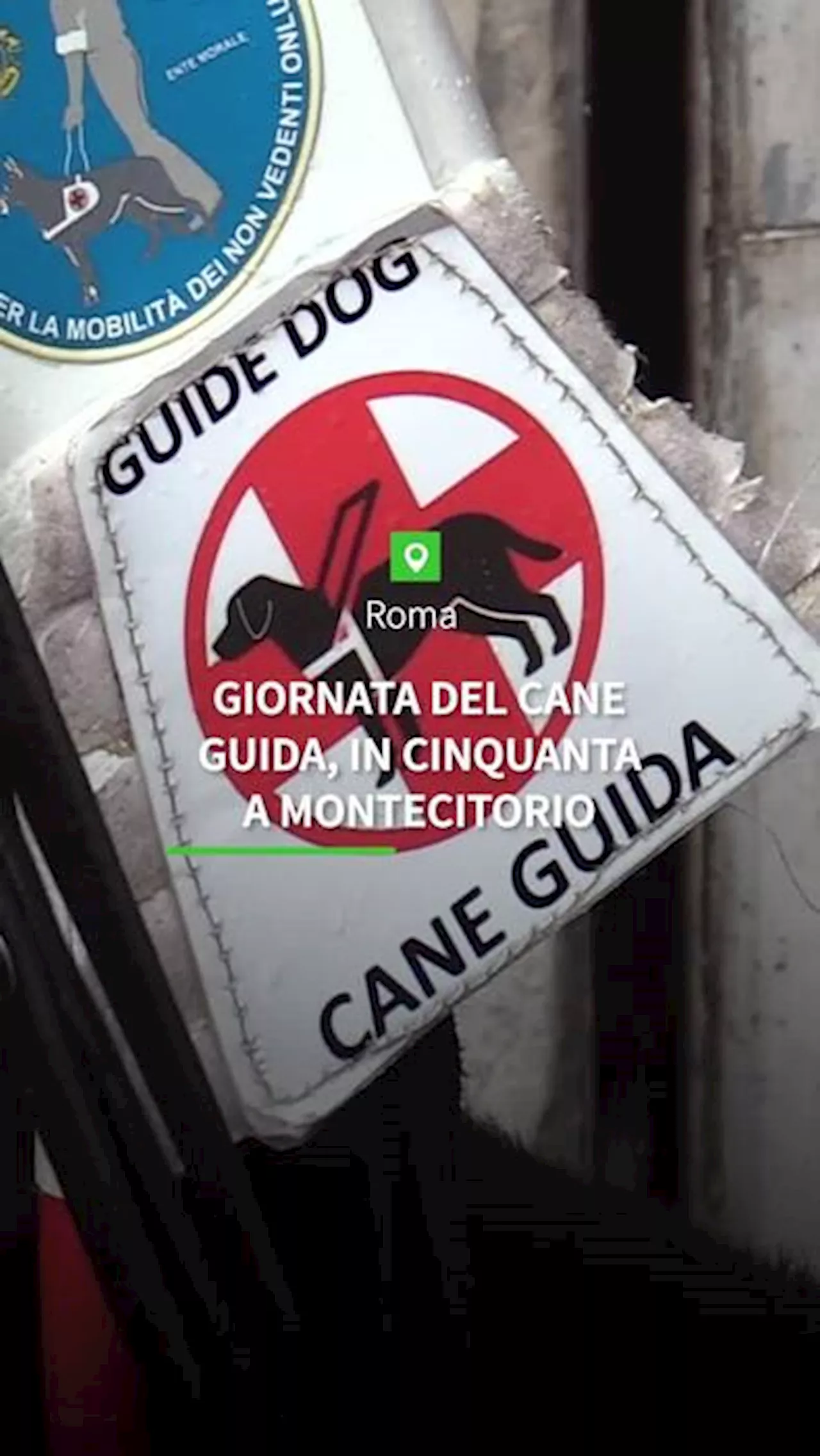 Giornata del cane guida, in cinquanta a Montecitorio