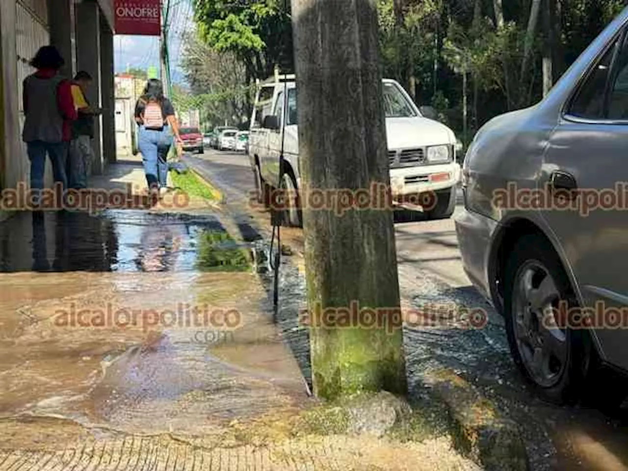 Se desperdician miles de litros de agua por fuga en avenida Rébsamen de Xalapa