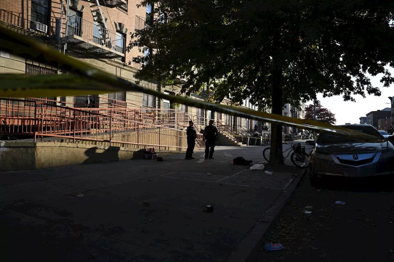 Brooklyn man shot dead near apartment building in early-morning execution: NYPD