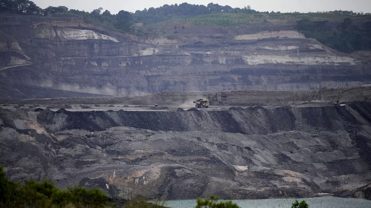 Miners are razing forests to meet surging demand for metals and minerals, report says