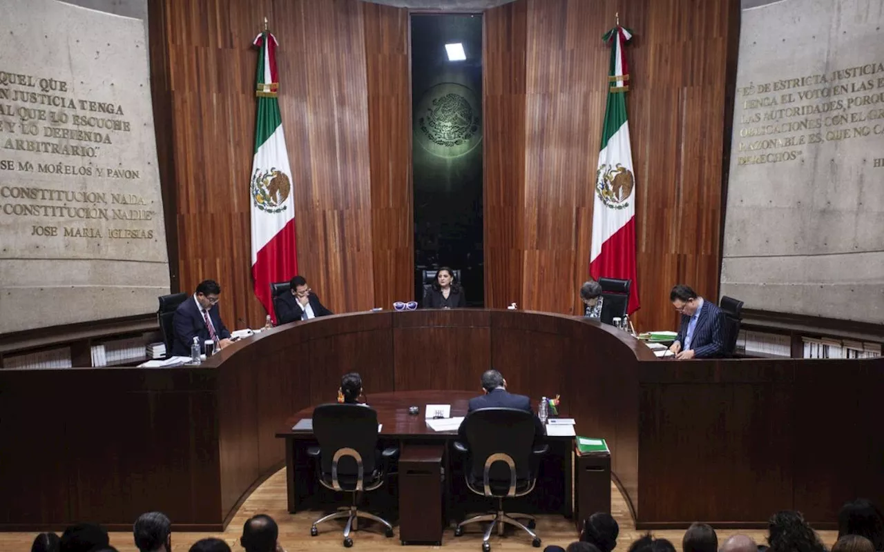 Tribunal Electoral da luz verde al INE para continuar proceso electoral del Poder Judicial