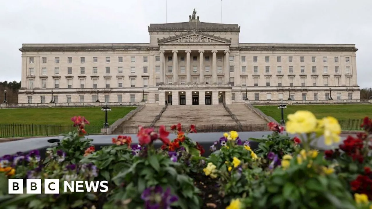 Stormont: Proxy votes agreed for MLAs on parental leave