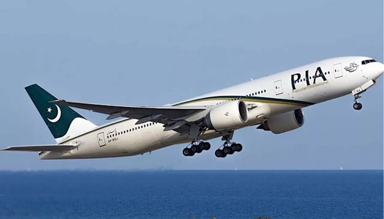 Final auction for PIA Corporation to be on Oct 30, NA told