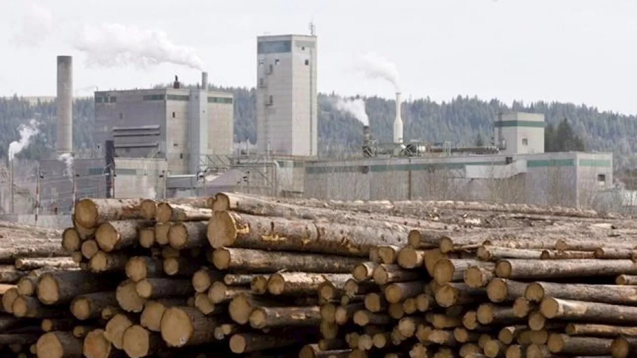 Vancouver’s West Fraser Timber posts third quarter loss