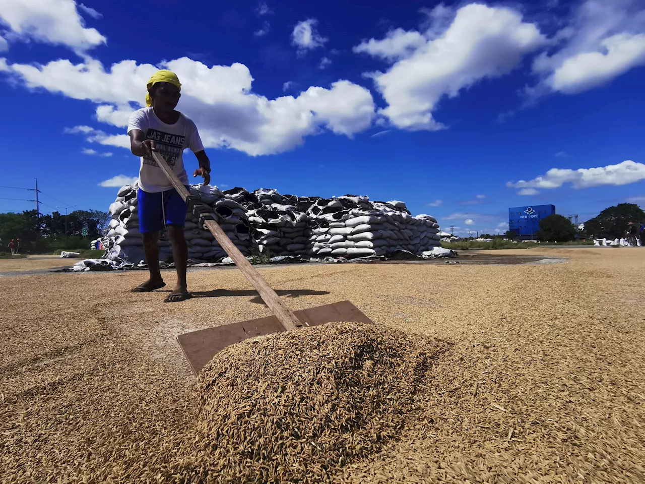 Agri groups to government: Revert to original tariffs pre-EO 62