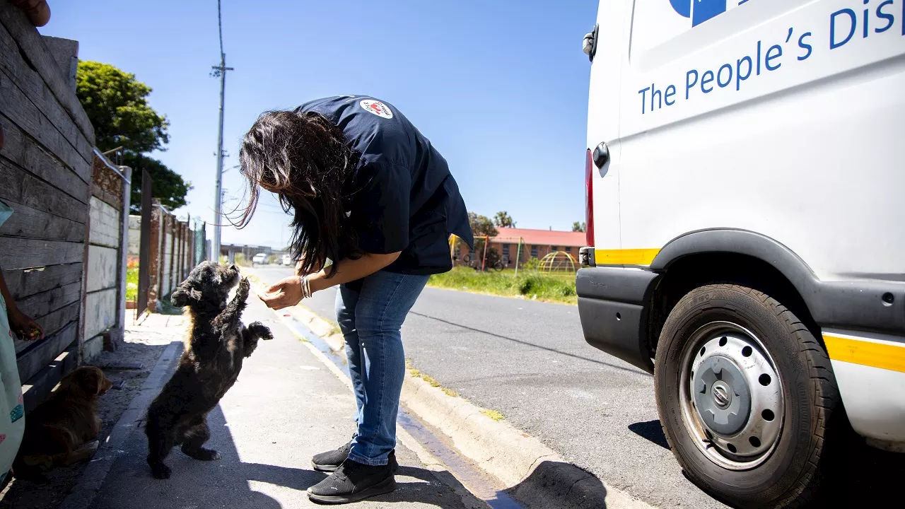 FOUR PAWS launches mass sterilisation drive for animals in WC