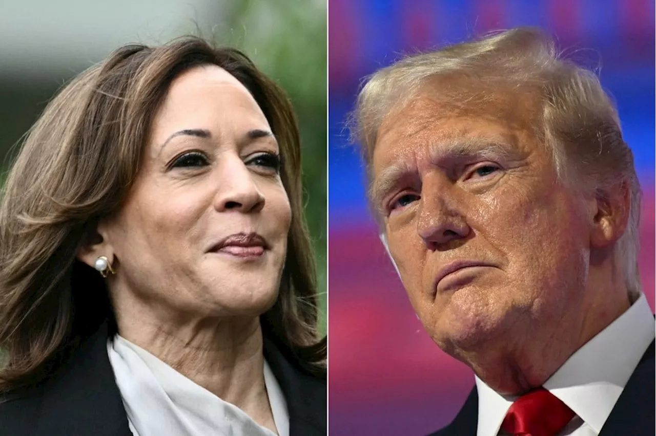 Pesquisas mostram Kamala liderando com margem apertada sobre Trump