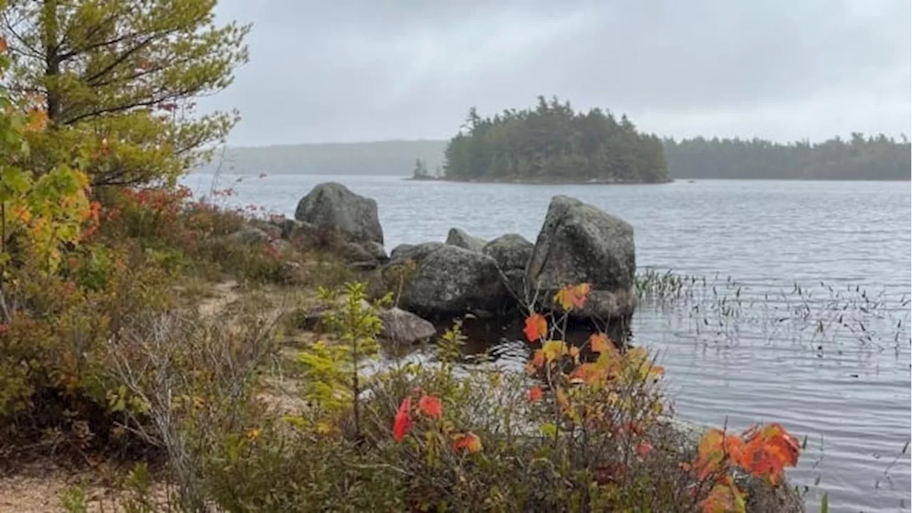 Friends raise $20K to buy island they want all Nova Scotians to enjoy