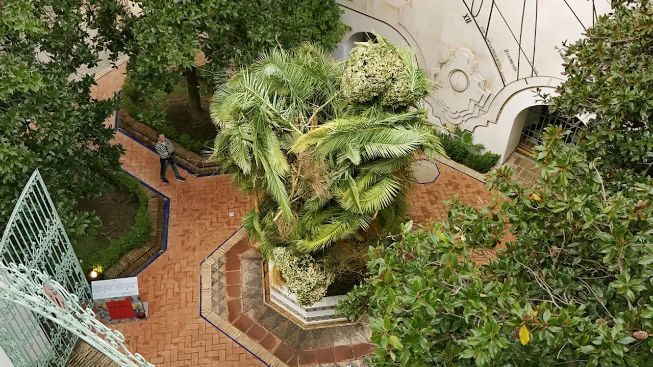 Singapore’s This Humid House wins first prize at the prestigious Flora International Flower Festival 2024