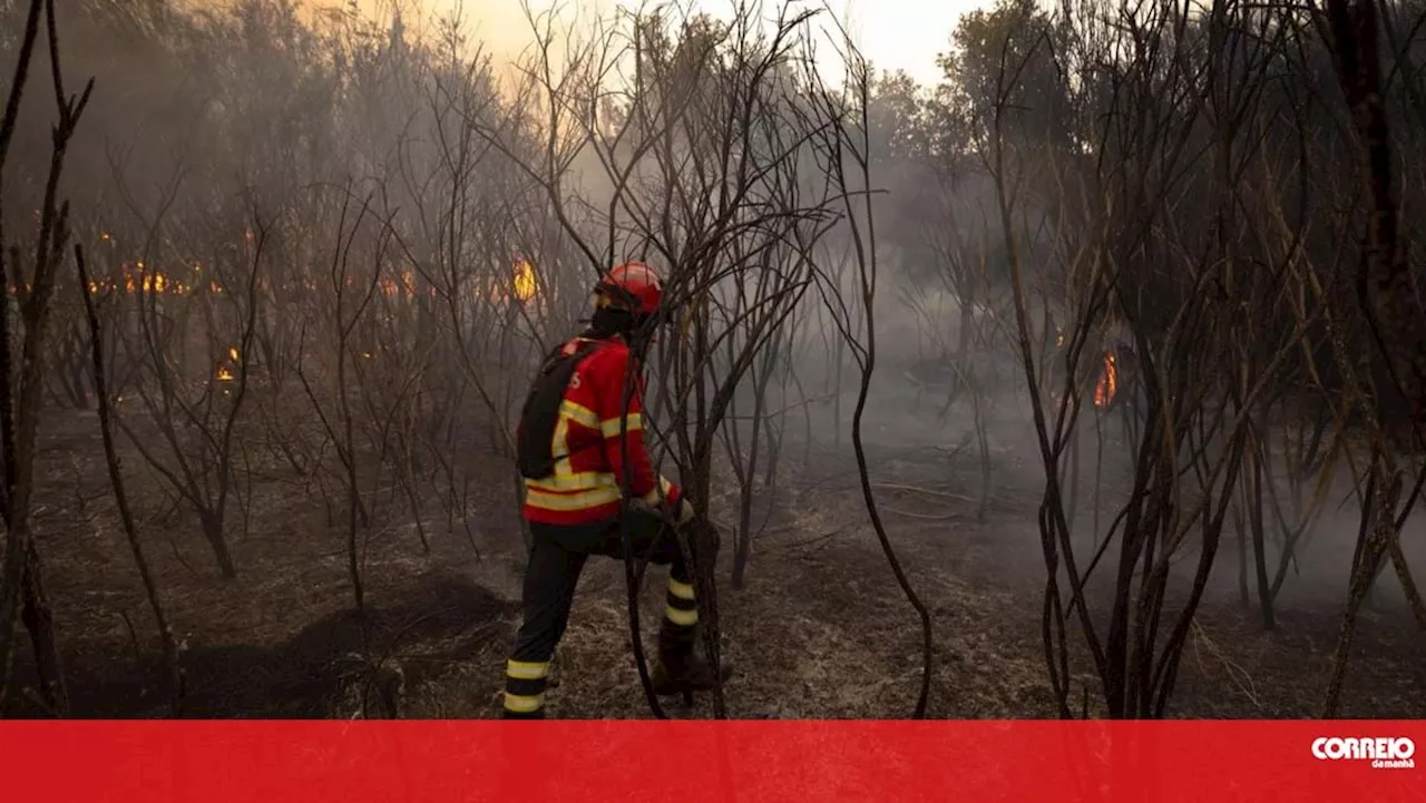 Detido suspeito de atear um dos grandes fogos de Vila Pouca de Aguiar